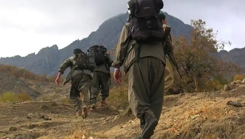 Türkiye'de Terörsüz 48 Saat: Öcalan'ın Mesajı Kandil'i Sarsacak mı?