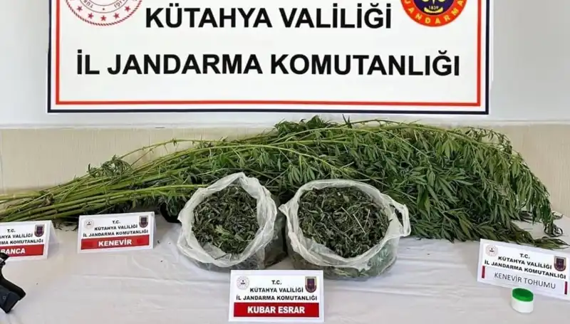 Kütahya'da Büyük Uyuşturucu Operasyonu: Tek Kişilik Yakalama Başarıyla Gerçekleşti