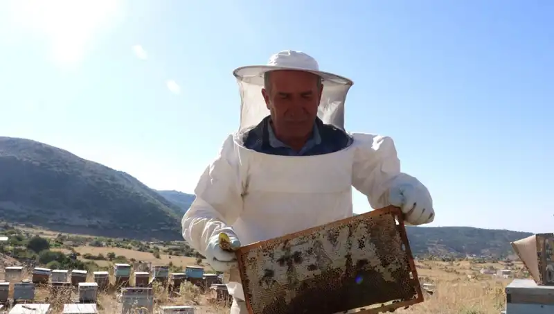 25 Yıl Önce Mobilya İşini Bıraktı, Bu Yıl 2 Ton Üretti: Başarı Hikayesi