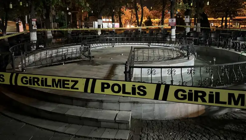 Kırklareli'nde Süs Havuzu Felaketi: Dört Kişi Hastanede!
