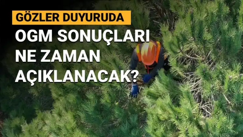 OGM Personel Alımında Tarih Çanları: 3.477 Sözleşmeli Pozisyon için Sonuçlar Ne Zaman?
