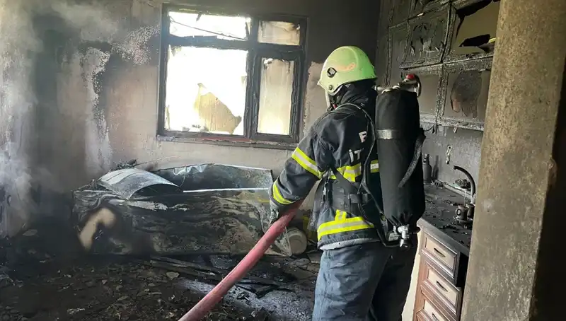 Seferberlik Başladı: Yangın Mutfağı Kül Etti, Çeşitli Hayvanlar Tehlikede!