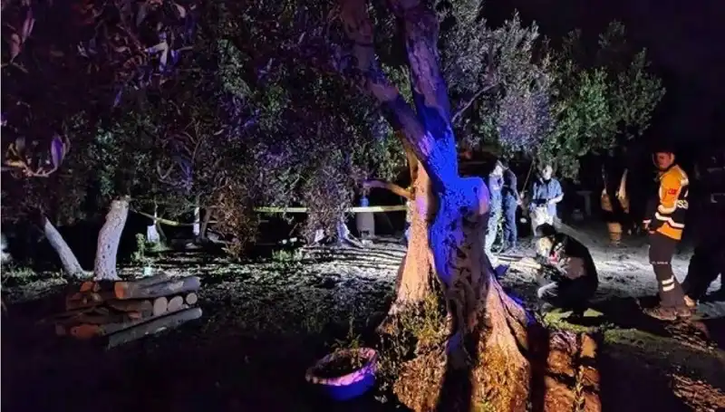 Çiftlikteki Baltalı Vahşette Şok Gelişme: Bir Tutuklama Gerçekleşti!
