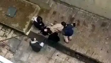 Kampüs Alanında Büyükanne Köpeği Sırasında Yaşanan Şok Edici Düşüş Olayı