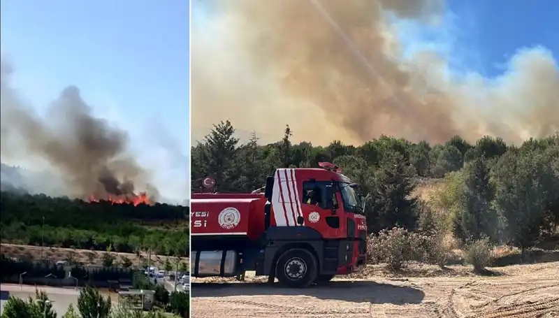 Gebze’deki Orman Yangını Korkutucu Boyutlara Ulaştı: Nedeni ve Son Durum Nedir?