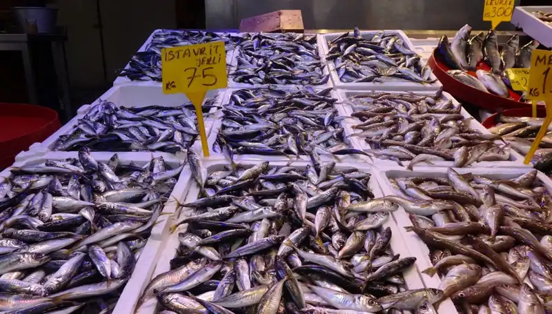 Bu Yıl Balık Sezonu Beklenenden Daha Erken Sona Erecek!