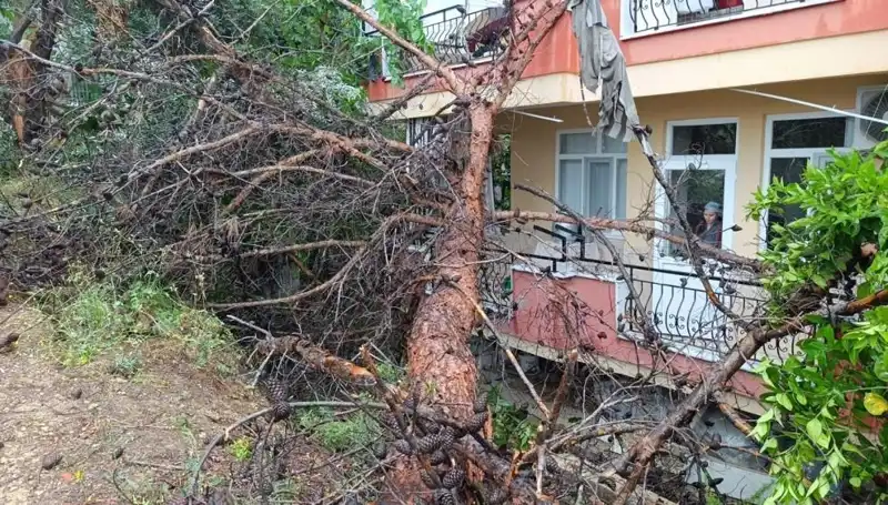 Yağmurun Sonunda Gelen Felaket: Bina Yıkıldı, Sokaklar Savaşa Döndü