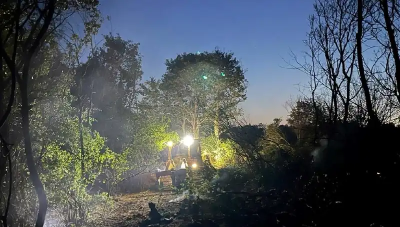 Edirne’deki Orman Yangını Kontrol Altına Alındı: Ekipler Seferber Oldu