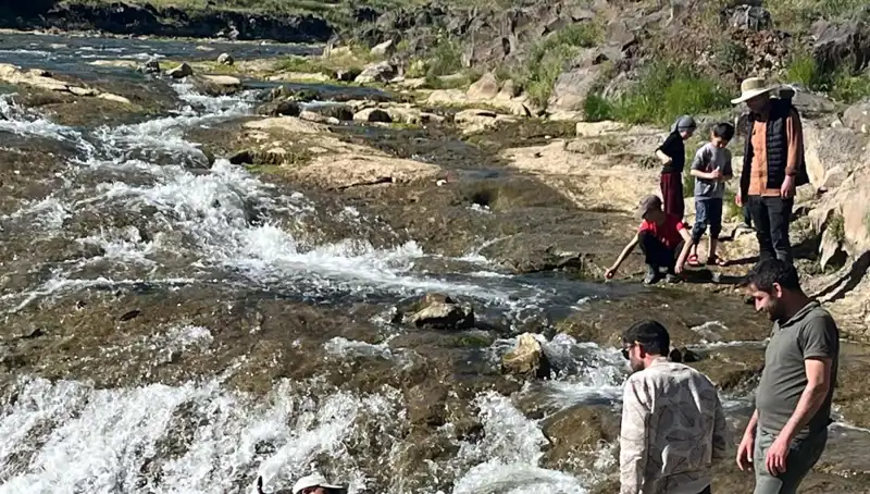 İnci Kefali Göçü: Doğanın Mucizesiyle Buluşun ve Seyahat Edin