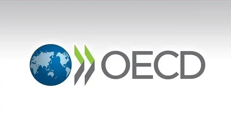 OECD'nin Türkiye İçin Büyüme Tahmini: 2024 Beklentileri Neleri Gösteriyor?