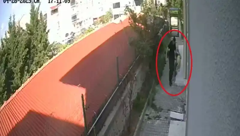 Hayvanlara Şok Eden Şiddet: Doktor Köpeklerini Parçaladı ve Tutuklandı