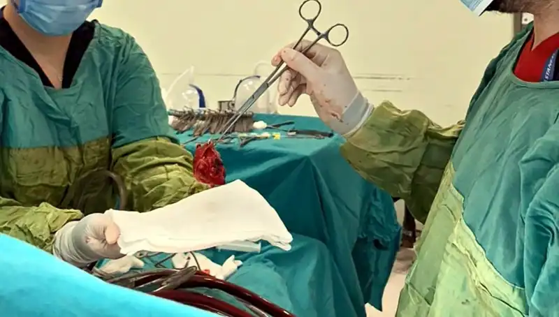 Kalp Kapağı Ameliyatı: 7 Saatten Sonra Yaşanan Mucizevi İyileşme