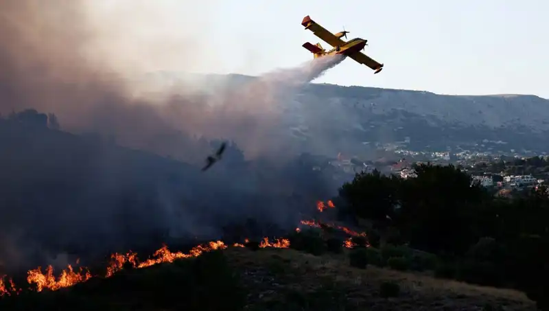 Sakız Adası’ndaki Orman Yangını Kontrol Altına Alındı, Hayvanlar ve Doğa Kurtuldu!