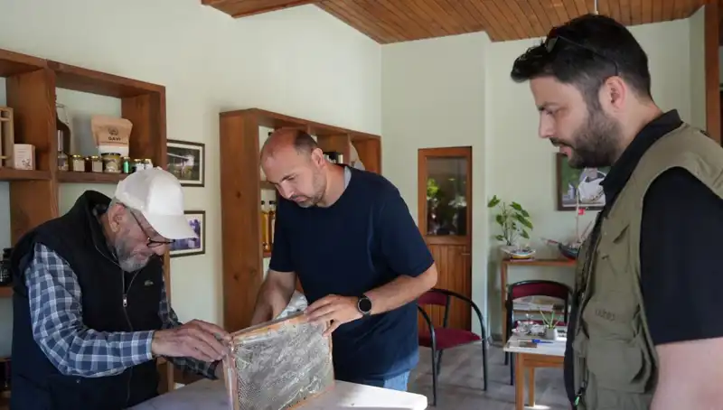 Hem Şifa Hem Zehir: 1 Çay Kaşığı Tüketimiyle İlgili Bilinmesi Gerekenler