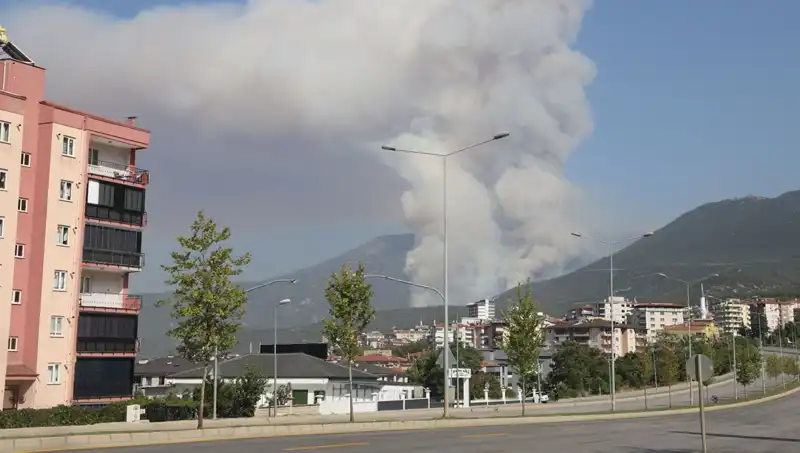Denizli'de Orman Yangını: Şüpheli Gözaltına Alındı
