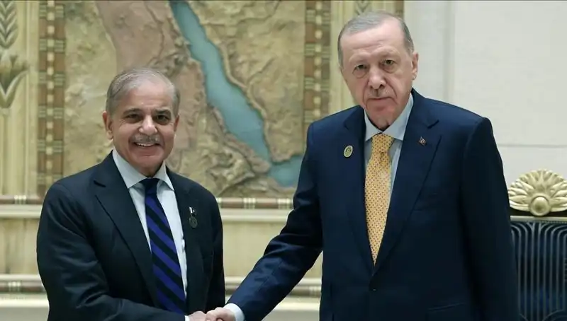 Erdoğan ve Şerif, İstanbul'da İşbirliği Fırsatlarını Masaya Yatırıyor