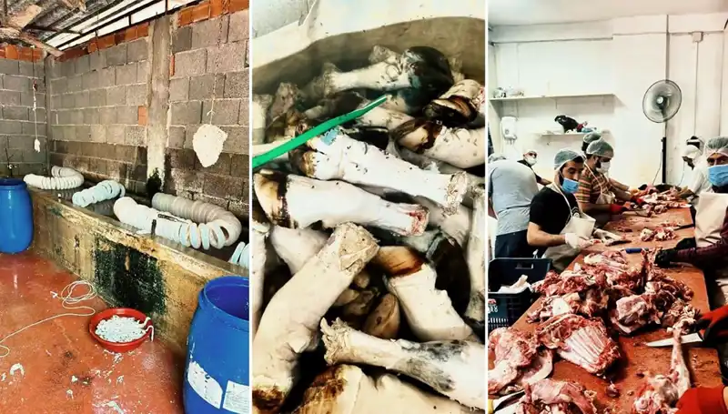 Adana'da Yüzlerce Kilo Paça Ele Geçirildi: Sağlık Tehlikesi Fark Edildi!