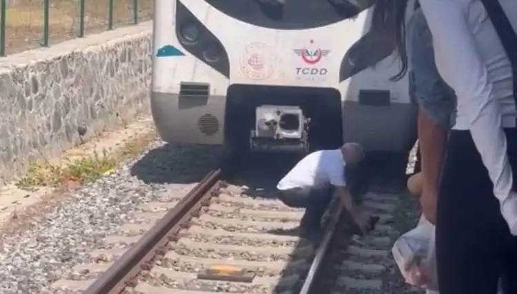 Marmaray Makinisti Kedinin Hayatını Kurtardı: Unutulmaz Anlar