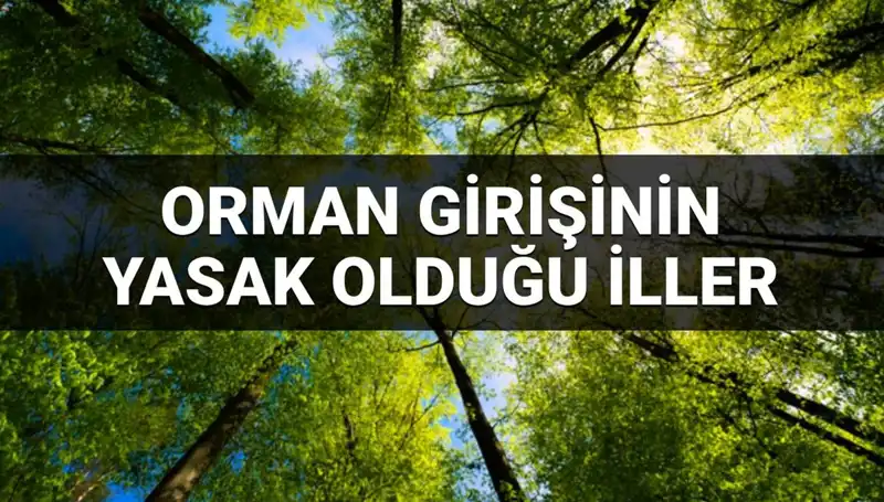 2025’te Ormana Girmesi Yasaklanan İller Hangileri?