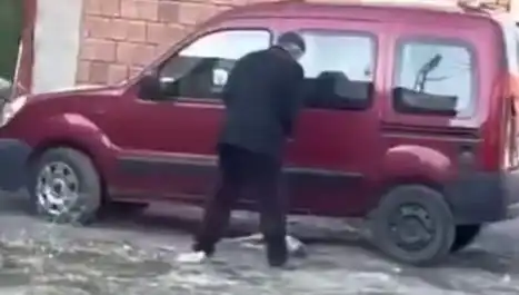 Sokak Ortasında Köpeğe Uygulanan Şiddet İhbarları Artıyor, Neler Oluyor?