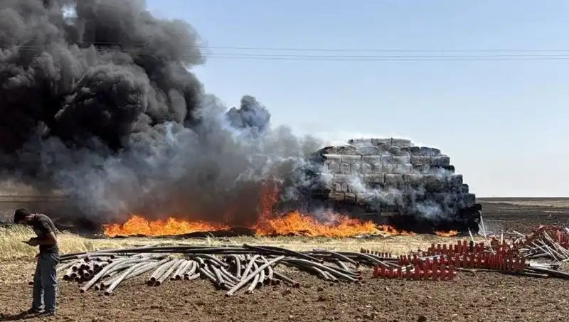 Mardin'de Anız Yangını, Tarım Alanlarını Tehdit Mi Ediyor?