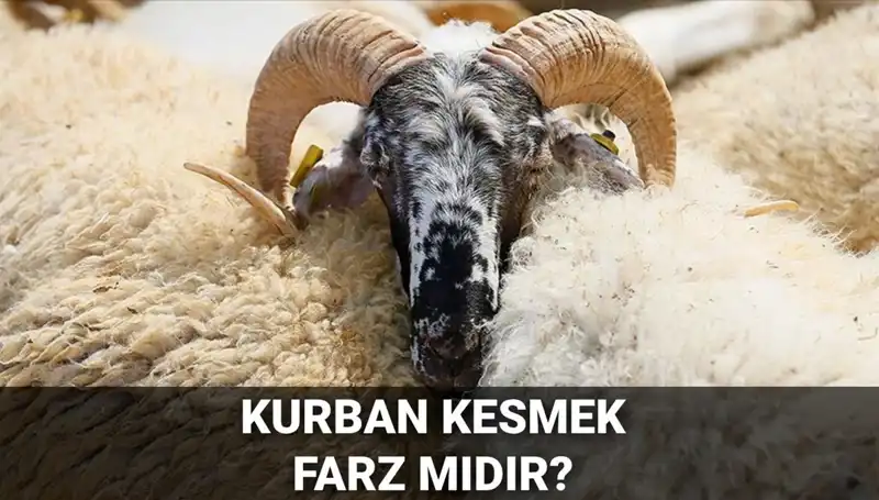 Kurban Kesmek Farz mı? Diyanet’in Görüşü ve Şartları