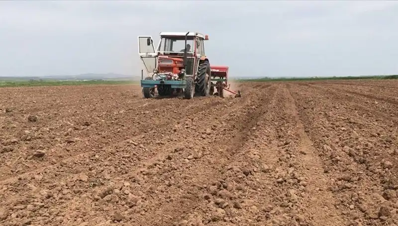 Son 35 Yılın En Kurak Mart Ayı: Türkiye'de Yağışlar Tarihi Bir Düşüş Yaşadı
