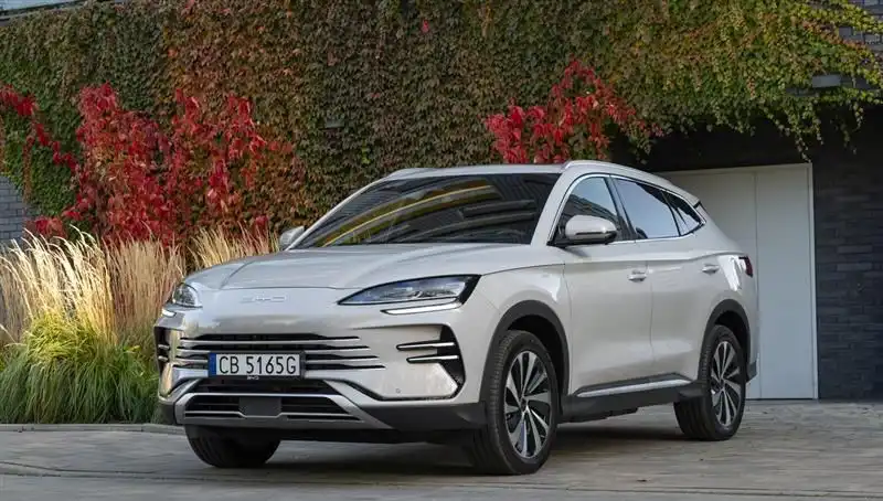 BYD'nin Büyüme Hızı Düşüşte: Piyasa Sarsıntıları ve Gelecek Beklentileri