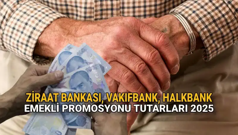 Emekliler İçin 2025'te Artan Banka Promosyonları: Ziraat, Vakıfbank ve Halkbank